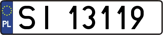 SI13119