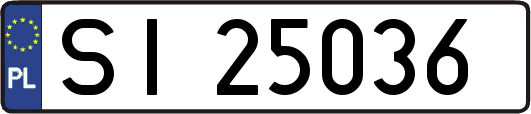 SI25036