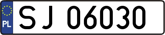SJ06030