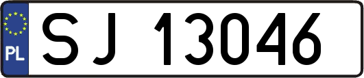 SJ13046