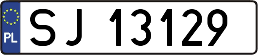 SJ13129