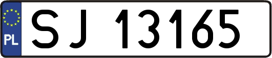 SJ13165