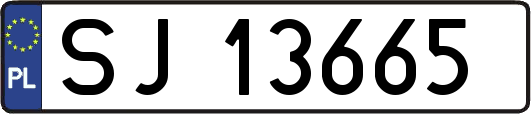 SJ13665