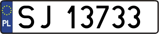 SJ13733