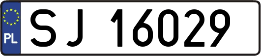 SJ16029