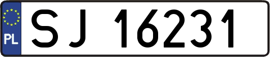 SJ16231
