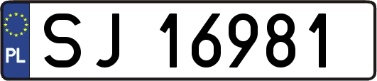 SJ16981