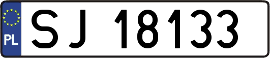 SJ18133