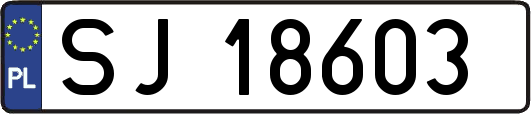 SJ18603