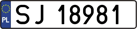 SJ18981