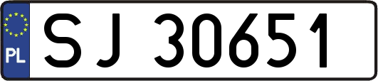 SJ30651