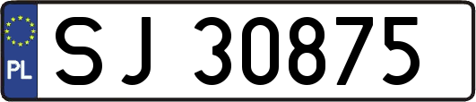 SJ30875
