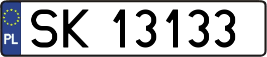SK13133