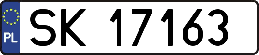 SK17163