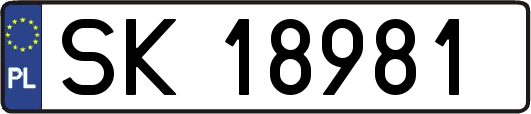 SK18981