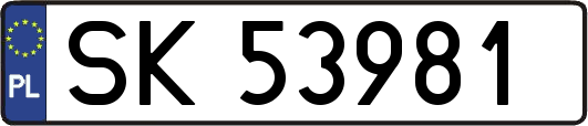 SK53981