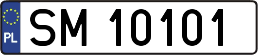 SM10101