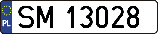 SM13028