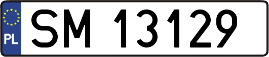 SM13129
