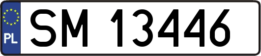 SM13446