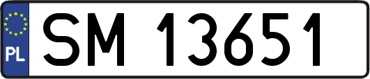 SM13651
