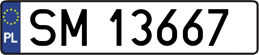 SM13667