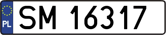SM16317