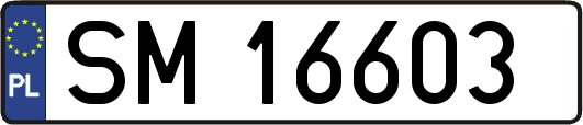 SM16603