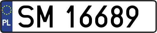 SM16689