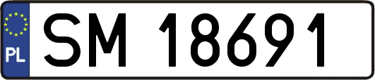 SM18691