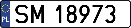 SM18973