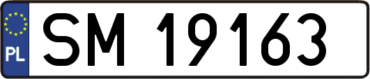 SM19163