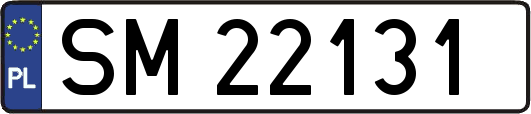 SM22131