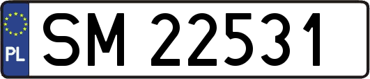 SM22531