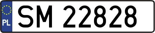 SM22828