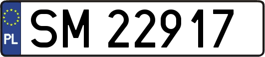 SM22917