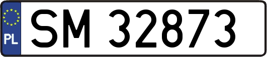 SM32873