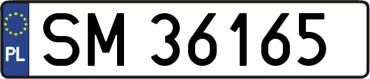 SM36165