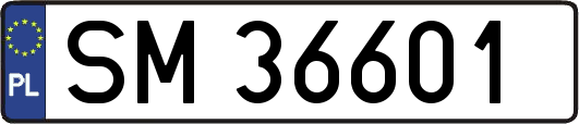 SM36601