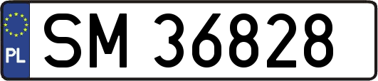 SM36828