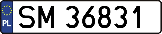SM36831