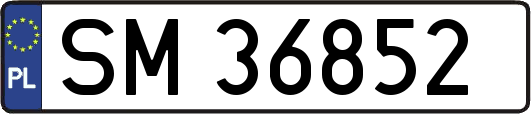 SM36852