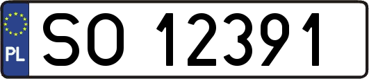 SO12391