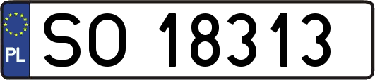SO18313