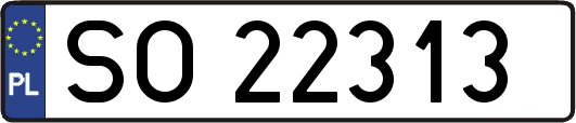 SO22313
