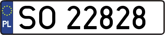 SO22828