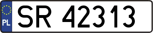 SR42313
