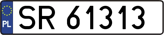 SR61313