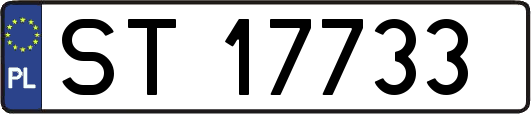 ST17733