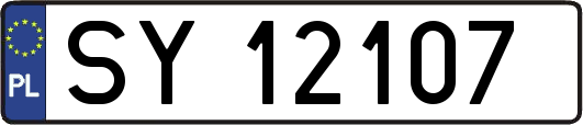 SY12107